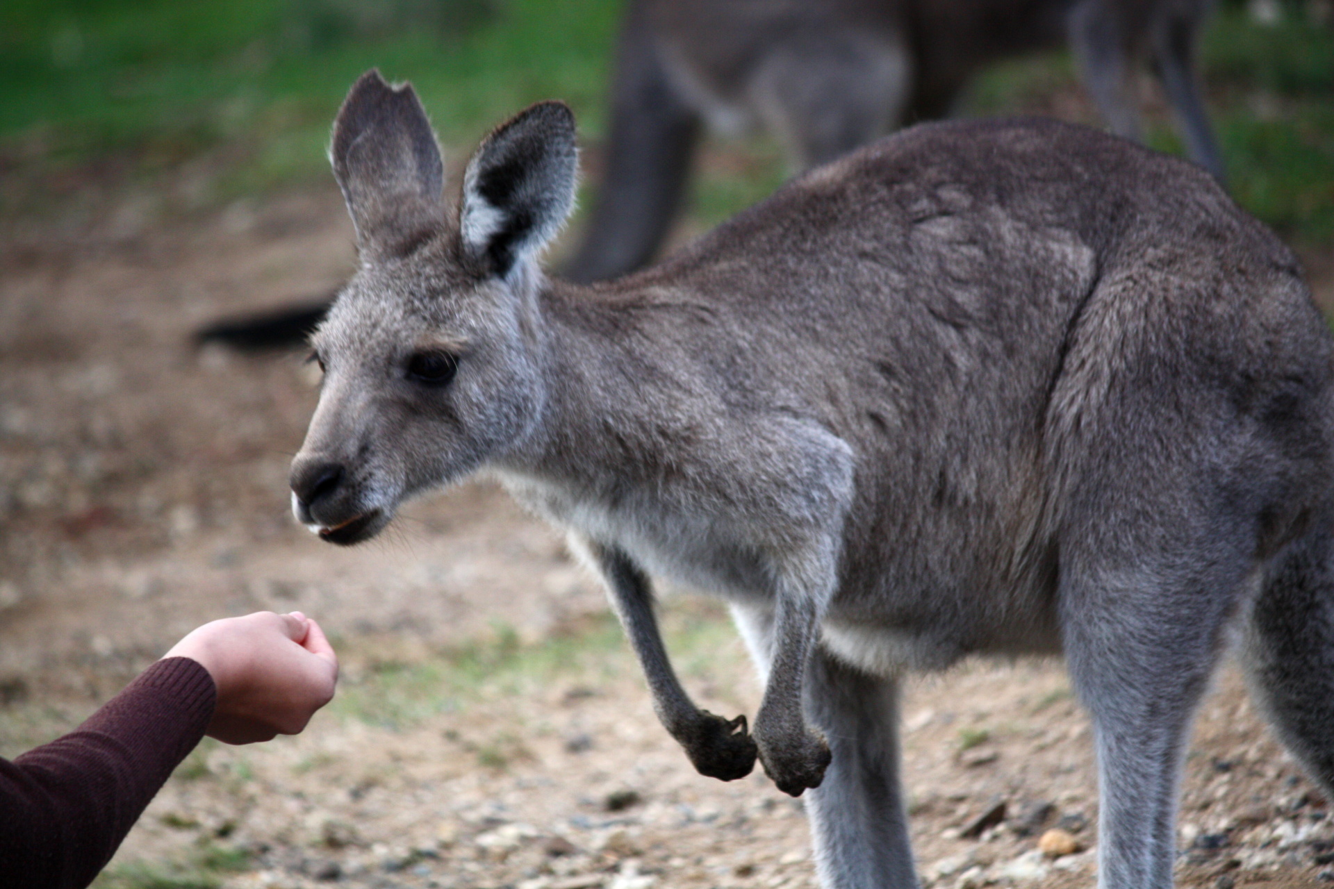 2010-04-03 Jindabyne Sobota